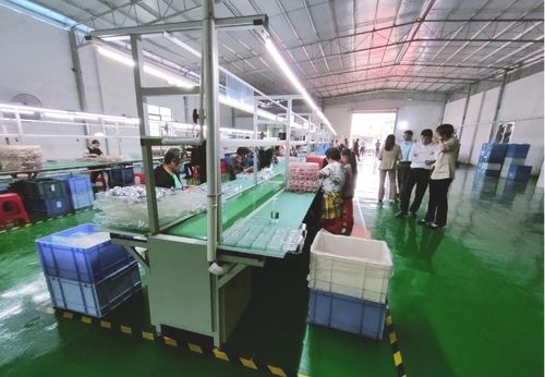 砥礪奮進啟新程，鄉村振興謀新篇——浛洸鎮張陂村玩具加工廠隆重開業